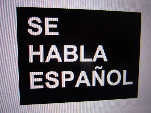 Ford Transit-250 T-250 148' Hi Rf 9000 GVWR Sliding RH Dr financ - Photo 16