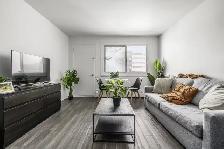 Loft entièrement meublé à louer Sainte-Foy / Sillery avril 2026