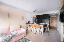 Loft entièrement meublé à louer Saint-Jean-Baptiste septembre 20