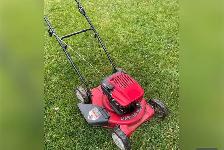 SMALL ENGINE REPAIRS AND TUNE-UPS