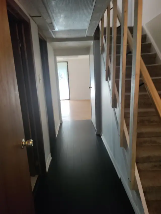 $1,500, 1 bedroom, 650 ft2 - Basement Apt above ground for Rent - Photo 4