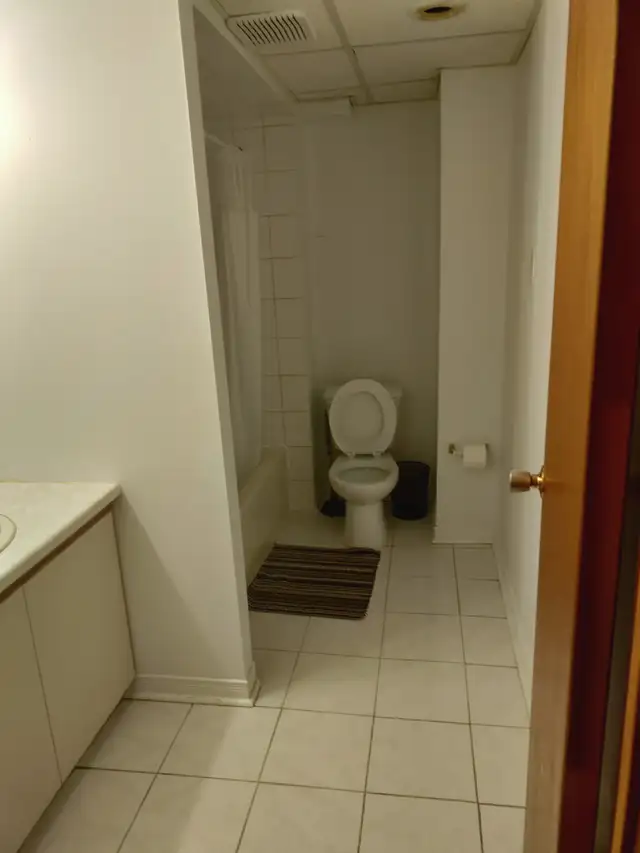 $1,500, 1 bedroom, 650 ft2 - Basement Apt above ground for Rent - Photo 5