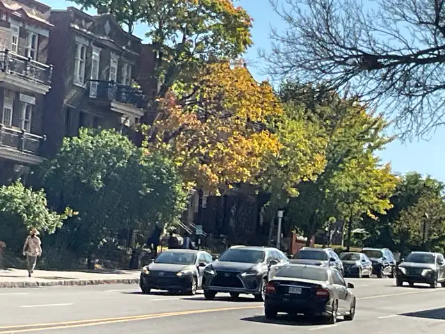 web design for the smallest