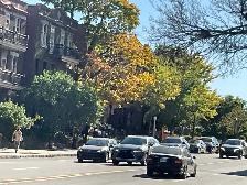 web design for the smallest