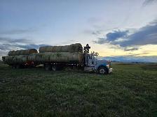 looking for class 1 or 3 driver