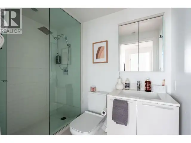 2 bed 2 bath   private roof top (penthouse) - Photo 6