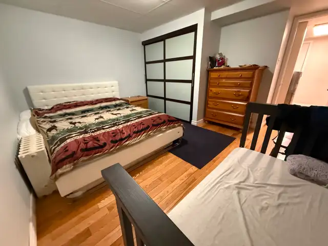 Live on the Glebe avenues - June 1 - 2 bed bsmt - Photo 6