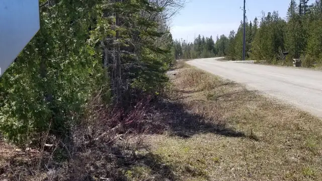 2.5 ACRES TOBERMORY - Photo 5