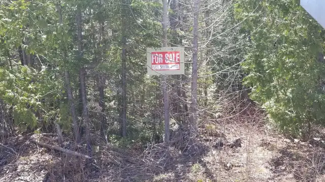 2.5 ACRES TOBERMORY - Photo 6