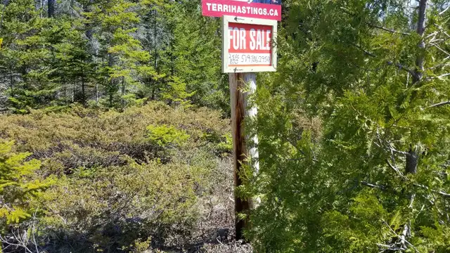 2.5 ACRES TOBERMORY - Photo 7