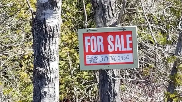 2.5 ACRES TOBERMORY - Photo 8