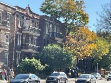 Web design and web development for the smallest