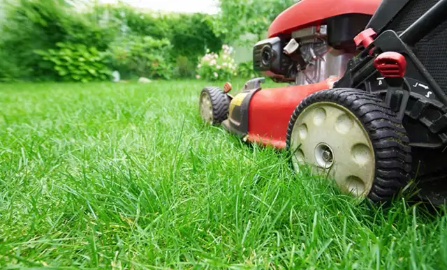 Grass Cutting Newcastle & Bowmanville