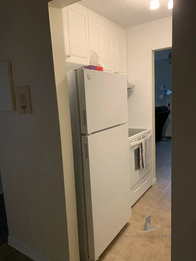 Appartement à Louer - 2 Chemin de la Savane #11 - Photo 9