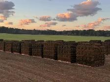 SOD, GRASS, SEED, FERTILIZER, TURF