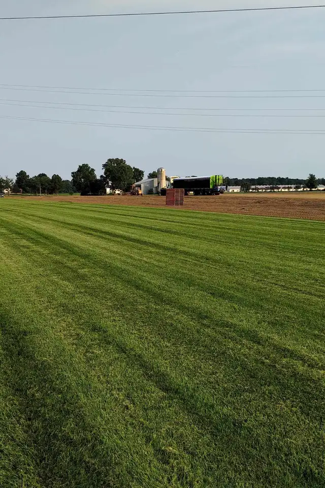 SOD, GRASS, SEED, FERTILIZER, TURF - Photo 2