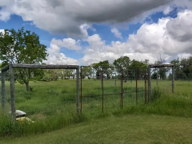 Handyman special! Acreage for quick sale! - Photo 2