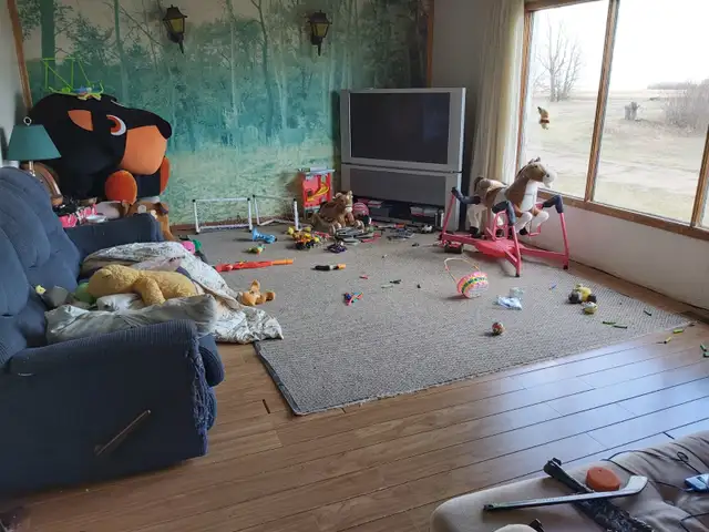 Handyman special! Acreage for quick sale! - Photo 4