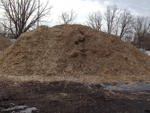NATURAL AND COLORED MULCH - Photo 2