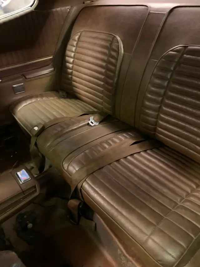 71 GTX 440. Restoration Project - Photo 7