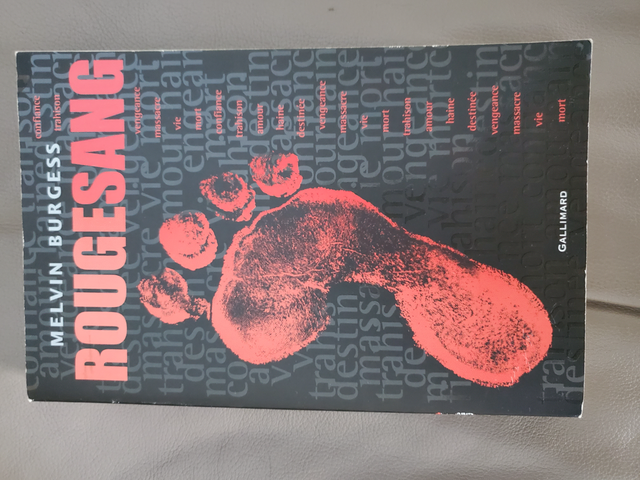 BON ROMAN NEUF FRANCAIS DE MELVIN BURGESS ROUGE SANG 382PA $5.00