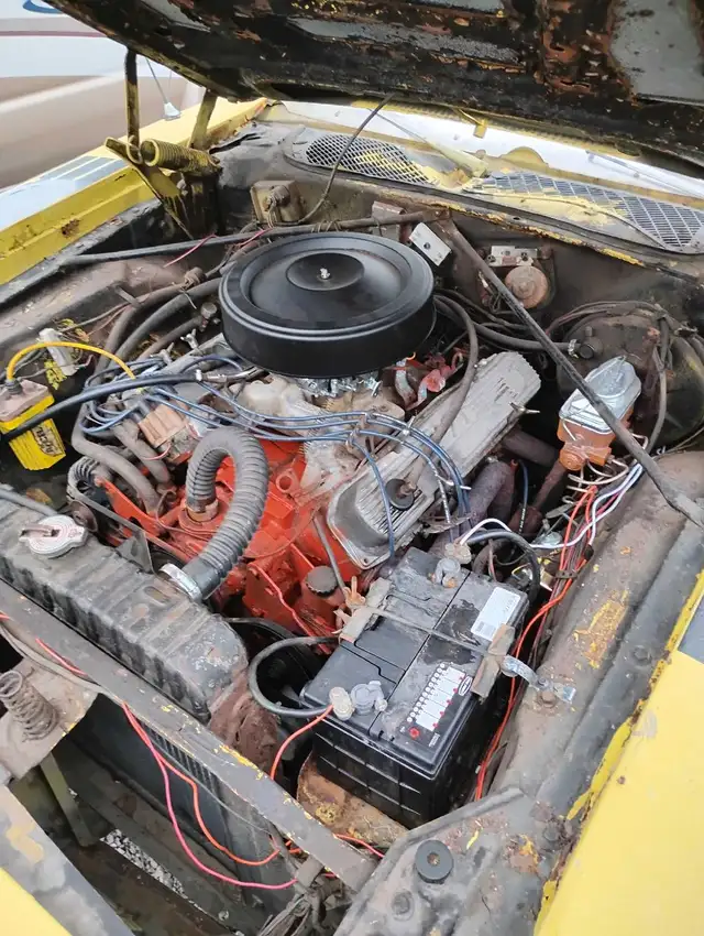 1972 ROAD RUNNER - Photo 6