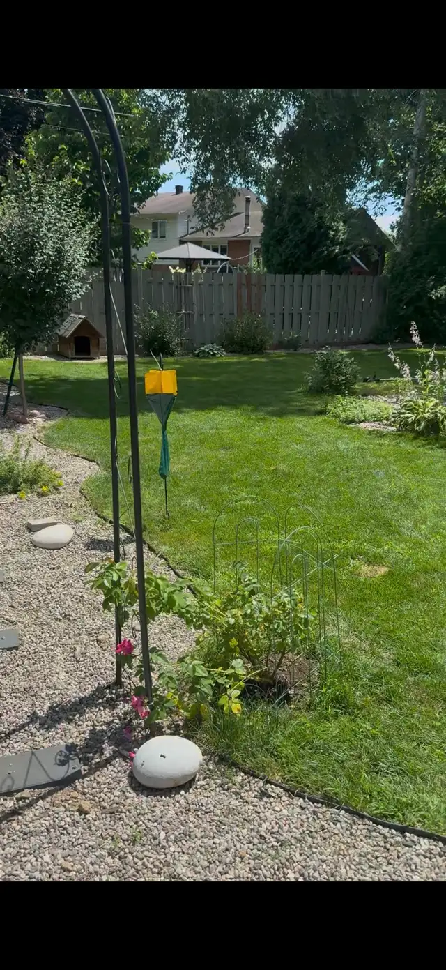 Montréal West Island Lawn Care - Photo 4