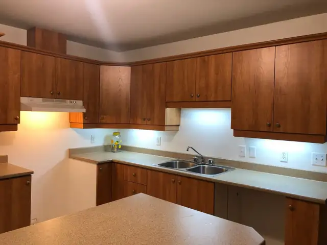 Grand 4 ½ lumineux avec entrée indépendante, Idéal pour famille - Photo 2