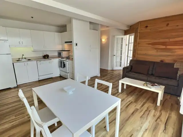 Condo 3 1/2 meublé   tout inclus – Montcalm / St-Jean-Baptiste - Photo 3