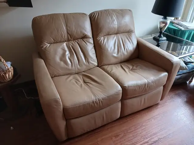 CAUSEUSE ELECTRIQUE 100% FONCTIONNEL VALEUR 2300$