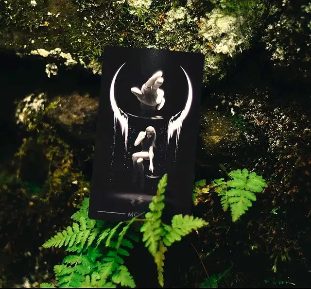 TAROT READING - Photo 2