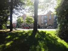 Chaleureux condo 3 1/2 Anjou sur le lac