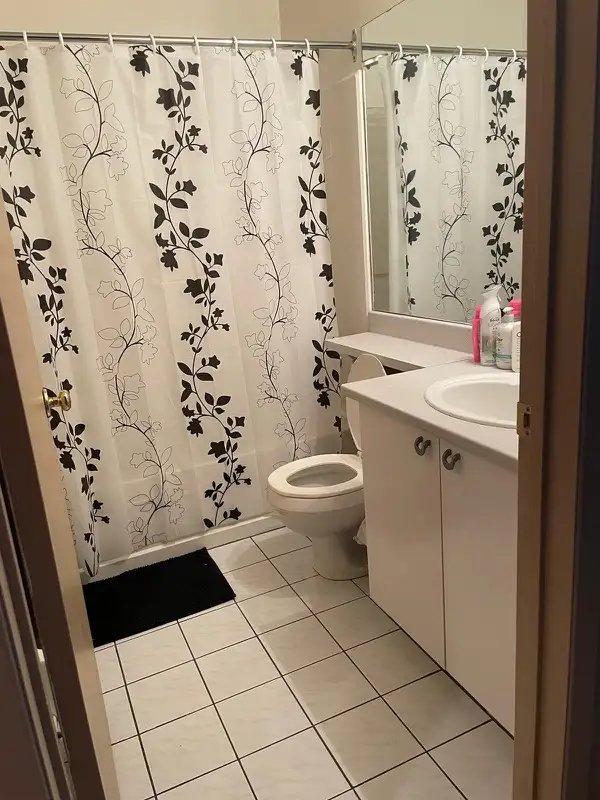 Chaleureux condo 3 1/2 Anjou sur le lac - Photo 2