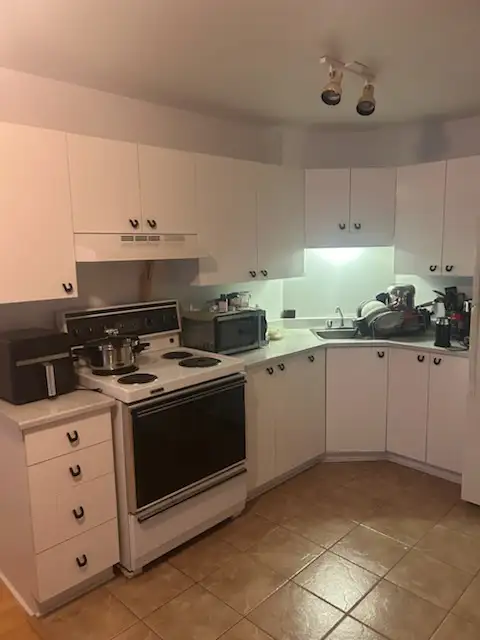 Chaleureux condo 3 1/2 Anjou sur le lac - Photo 5