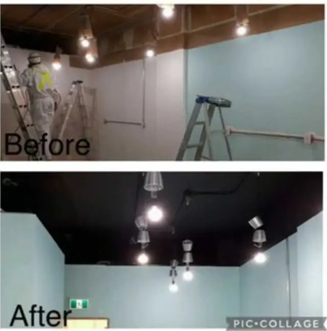 Professional Painters Available - Photo 2