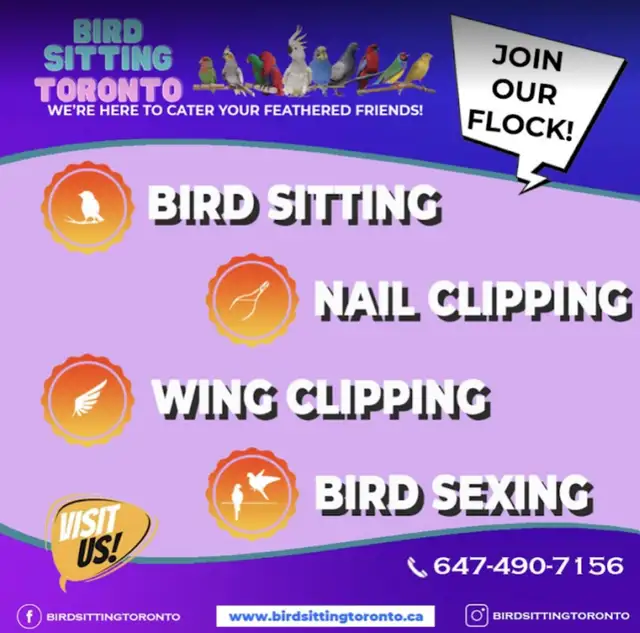 BIRD SITTING IN MISSISSAUGA! - Photo 2