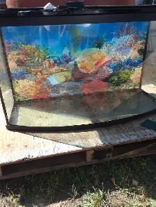 aquarium courbé a vendre avec couvercle et lumiere au del 140$