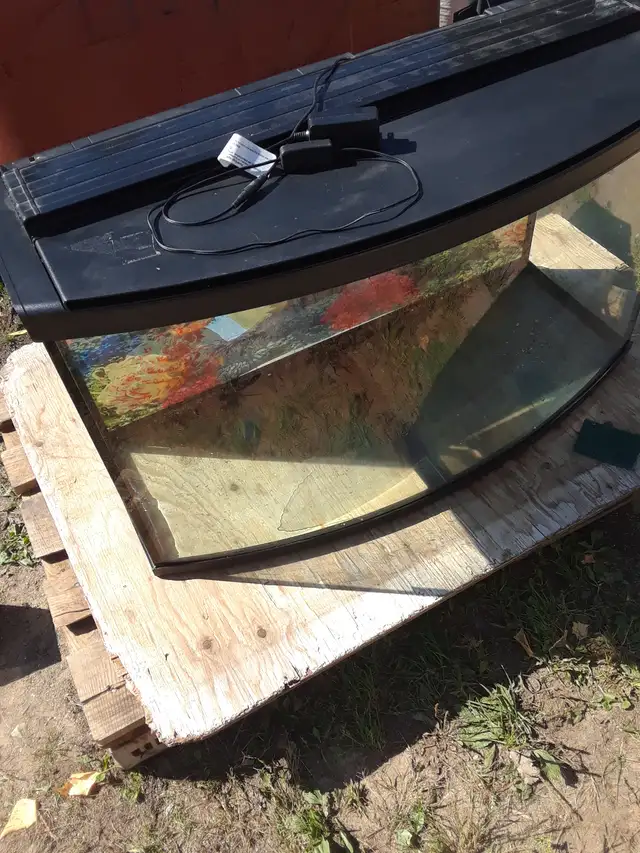 aquarium courbé a vendre avec couvercle et lumiere au del 140$ - Photo 2