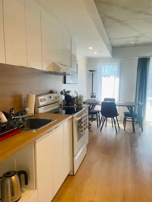 3 1/2 neufs, tout meublés, balcon, terrasse, stationnement int.