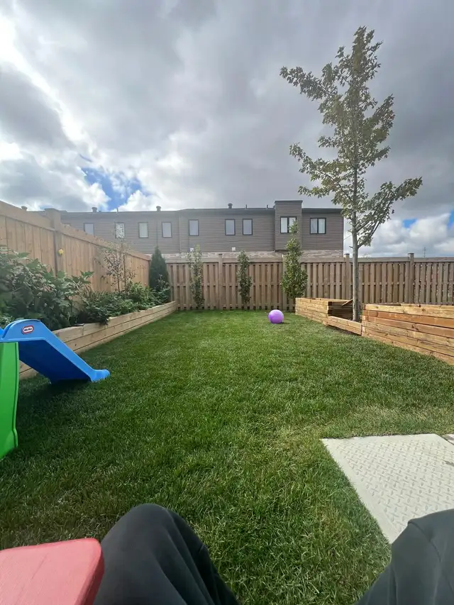 Weed Control   Lawn Care - Photo 3