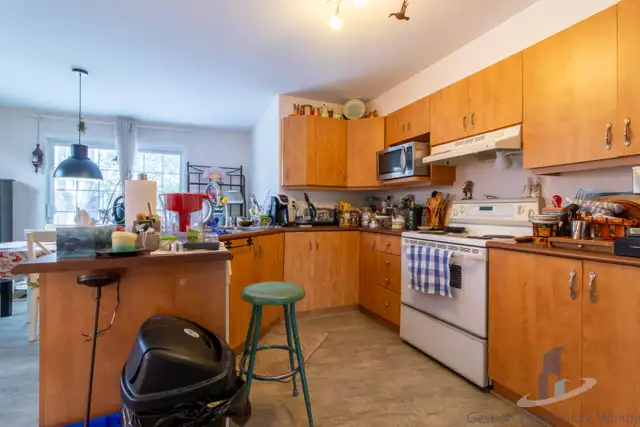 Appartement à Louer - 2 rue de la Rosée #1 - Photo 6