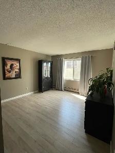FOR RENT 1 & 2 Bd apartments - 11916 105 St Edmonton
