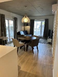 3 1/2 neuf, semi-meublé, gym, balcon, terrasse,stationnement int - Photo 3