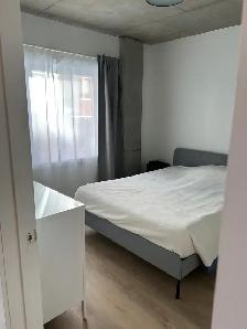 3 1/2 neuf, semi-meublé, gym, balcon, terrasse,stationnement int - Photo 6