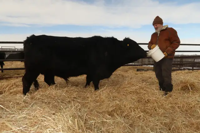 RIB-BRAND-BEEF.ca - Photo 10