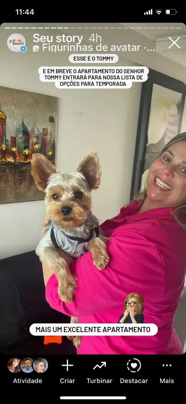 Cat and dog certified groomer - Photo 3