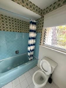 ROOM FOR RENT NEAR FAIRVIEW MALL - DON MILLS AND SHEPPARD - Photo 4