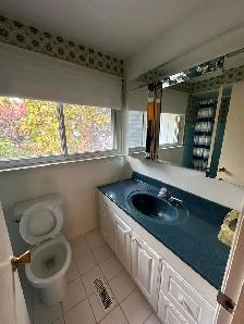 ROOM FOR RENT NEAR FAIRVIEW MALL - DON MILLS AND SHEPPARD - Photo 5