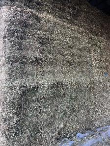 Hay for Sale