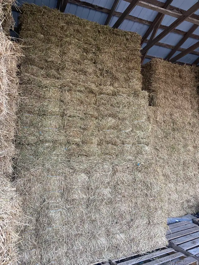 Hay for Sale - Photo 2